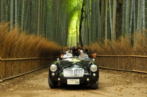 京都・嵐山の竹林の小径を走る MG MGA